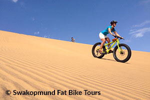 Desert Fat Bike Tours